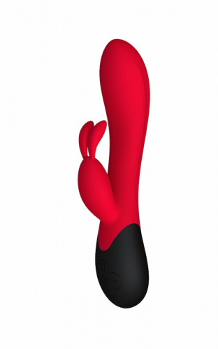 Heatable vibrator bunny 
Gemini (Infinite)